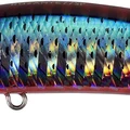 Red Mullet