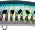 Sardine Ultra