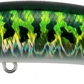 Green Mackerel