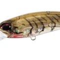 Phantom Shrimp