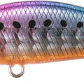Sakura Sardine OB