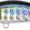UV Blackear Sardine