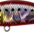 Fire Sardine