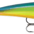 Parrot