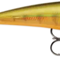 River Perch