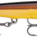 Golden Alburnus
