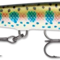 Rainbow Trout