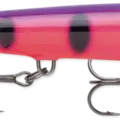 Fruit Punch