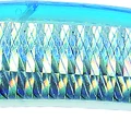 Clear Blue Back