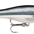 Shad