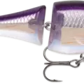 Purpledescent