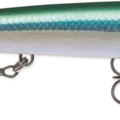 Blue Back Herring