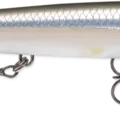 Pearl Grey Shiner