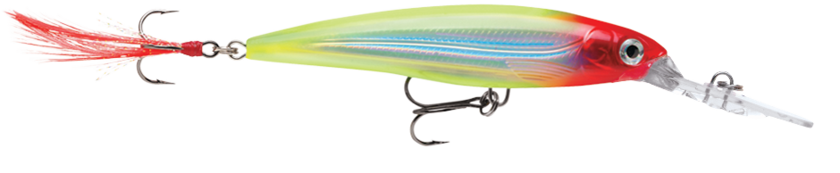 Rapala X-Rap Deep