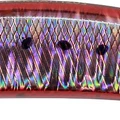 Fire Sardine