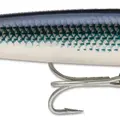 Mullet