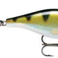 Yellow Perch