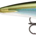 Moss Back Shiner