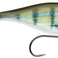 Pinfish