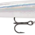 Glass Minnow