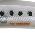 Whitebait