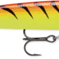 Hot Tiger