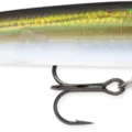 Olive Ghost