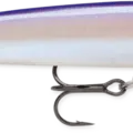 Purpledescent