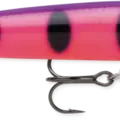 Fruit Punch