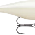 Bone