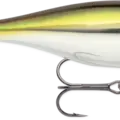 Pilchard