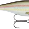Live River Shad