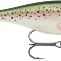 Speckeled Trout