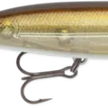 Ayu