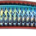 Red Mullet