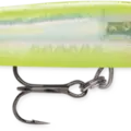 Glass Clown