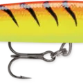 Hot Tiger