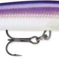 Purpledescent