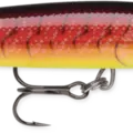Redfire Crawdad