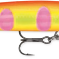 Dreamsicle