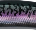 Mackerel Noir