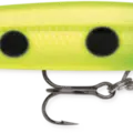 Slimy Lime