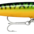 Green Mackerel