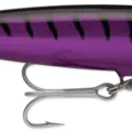 Purple Mackerel