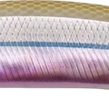 Sand Smelt