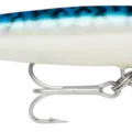 Silver Mackerel