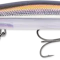 Bold Shad