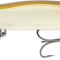 Ghost Minnow