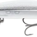 Metallic Glass Ghost