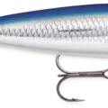 Blue Mullet